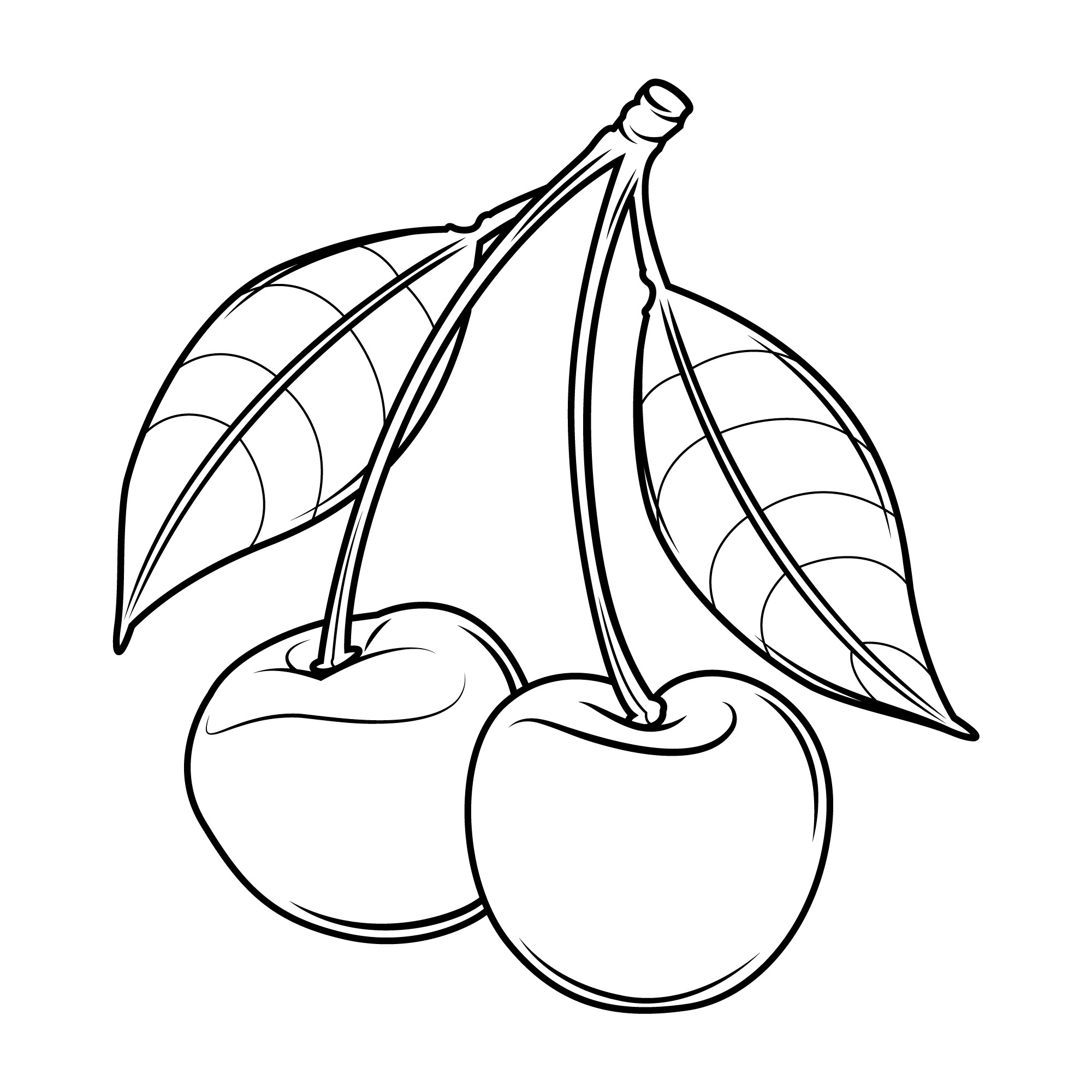 Раскраска для детей: вишня на ветке с листиками