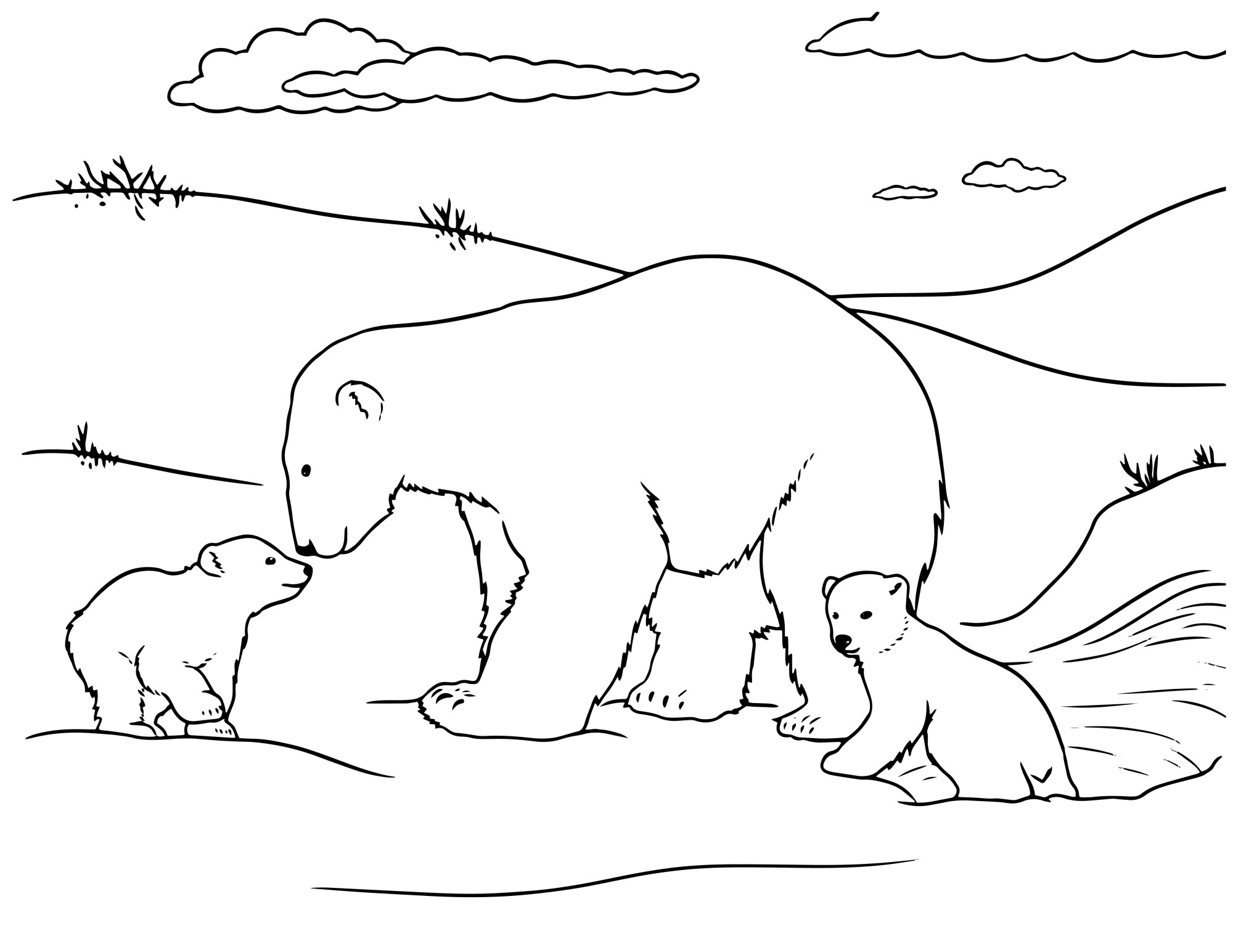 Раскраска для детей: медведица с двумя медвежатами