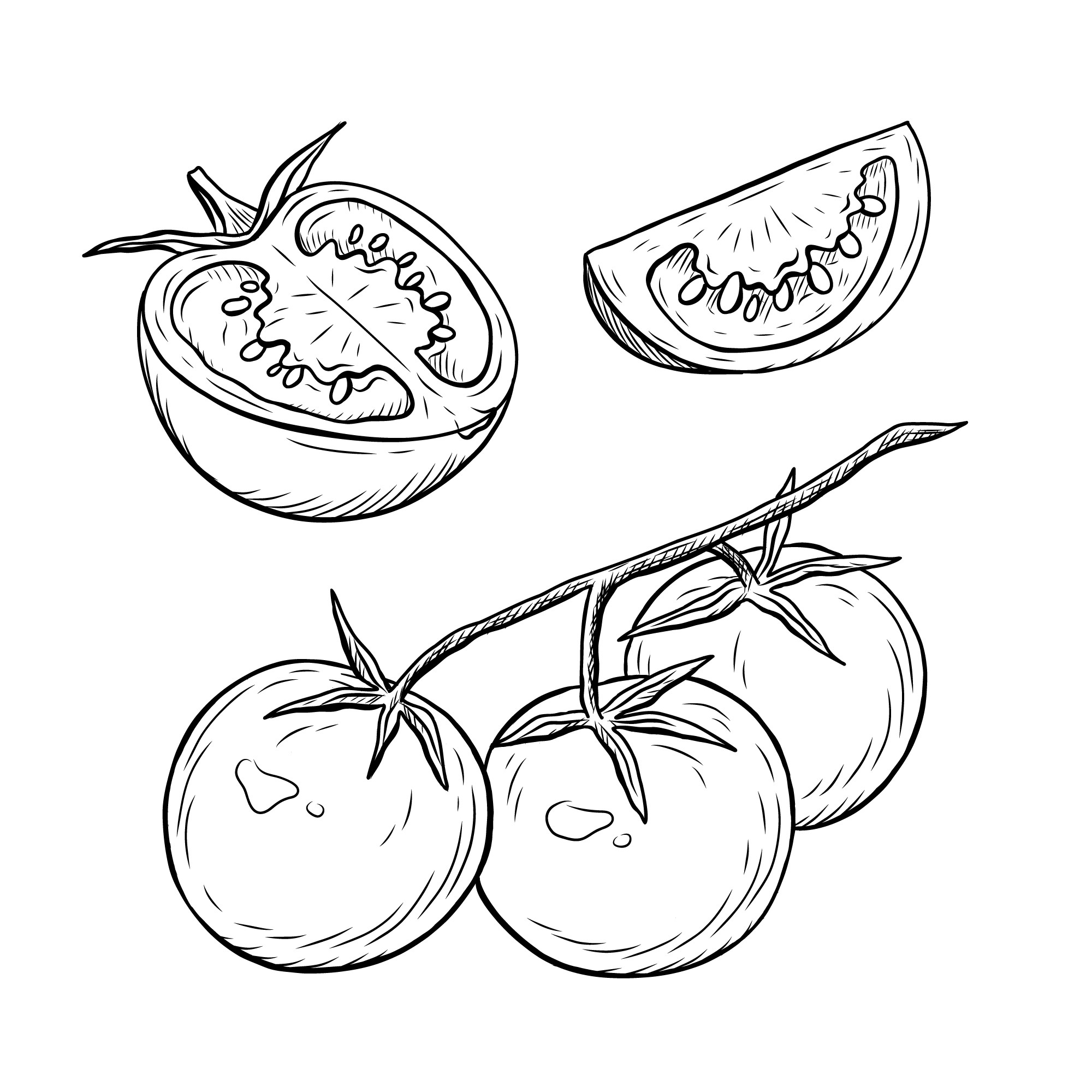 Раскраска для детей: томаты черри на ветке