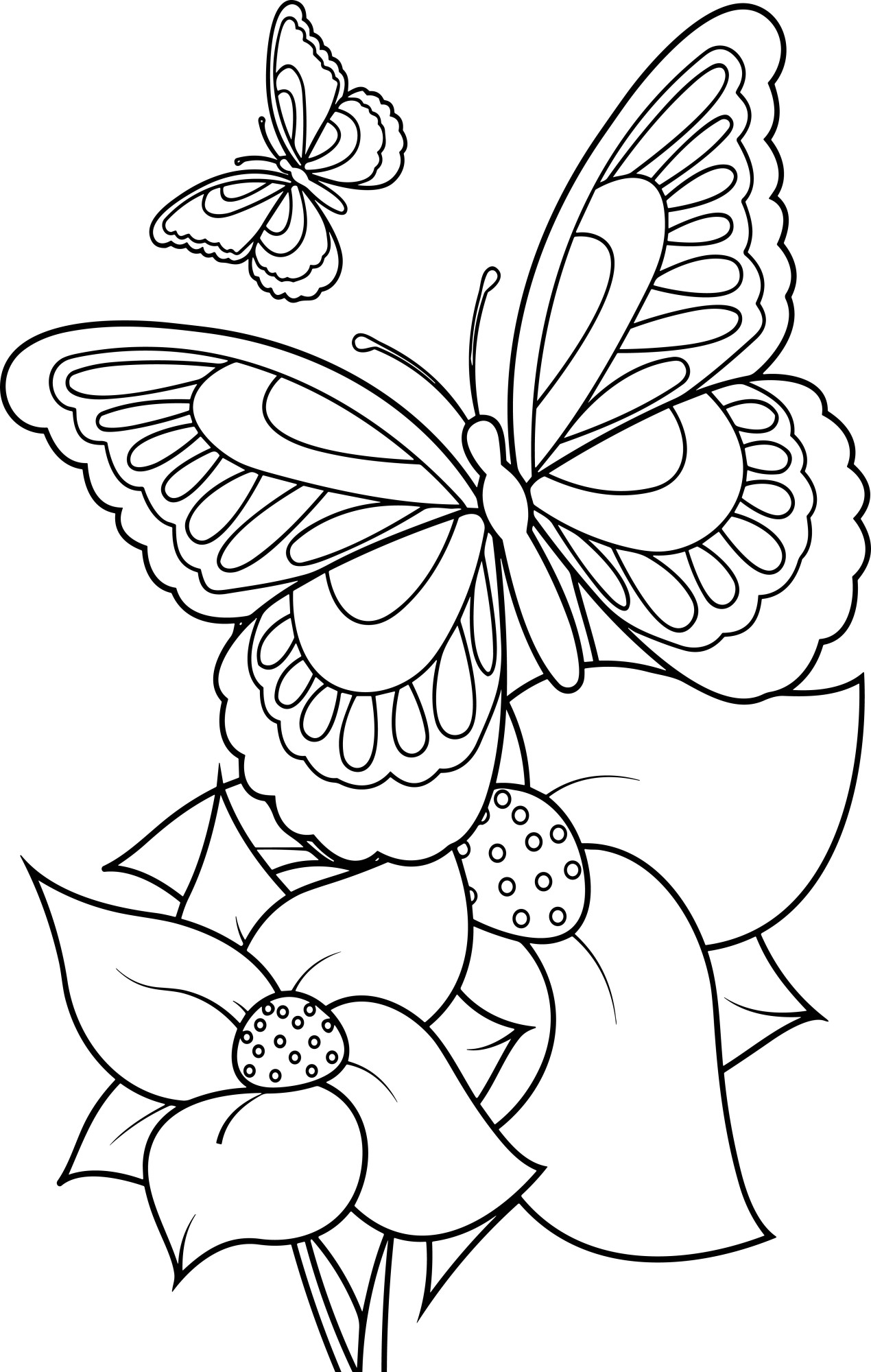 Раскраска для детей: две бабочки летают над цветами