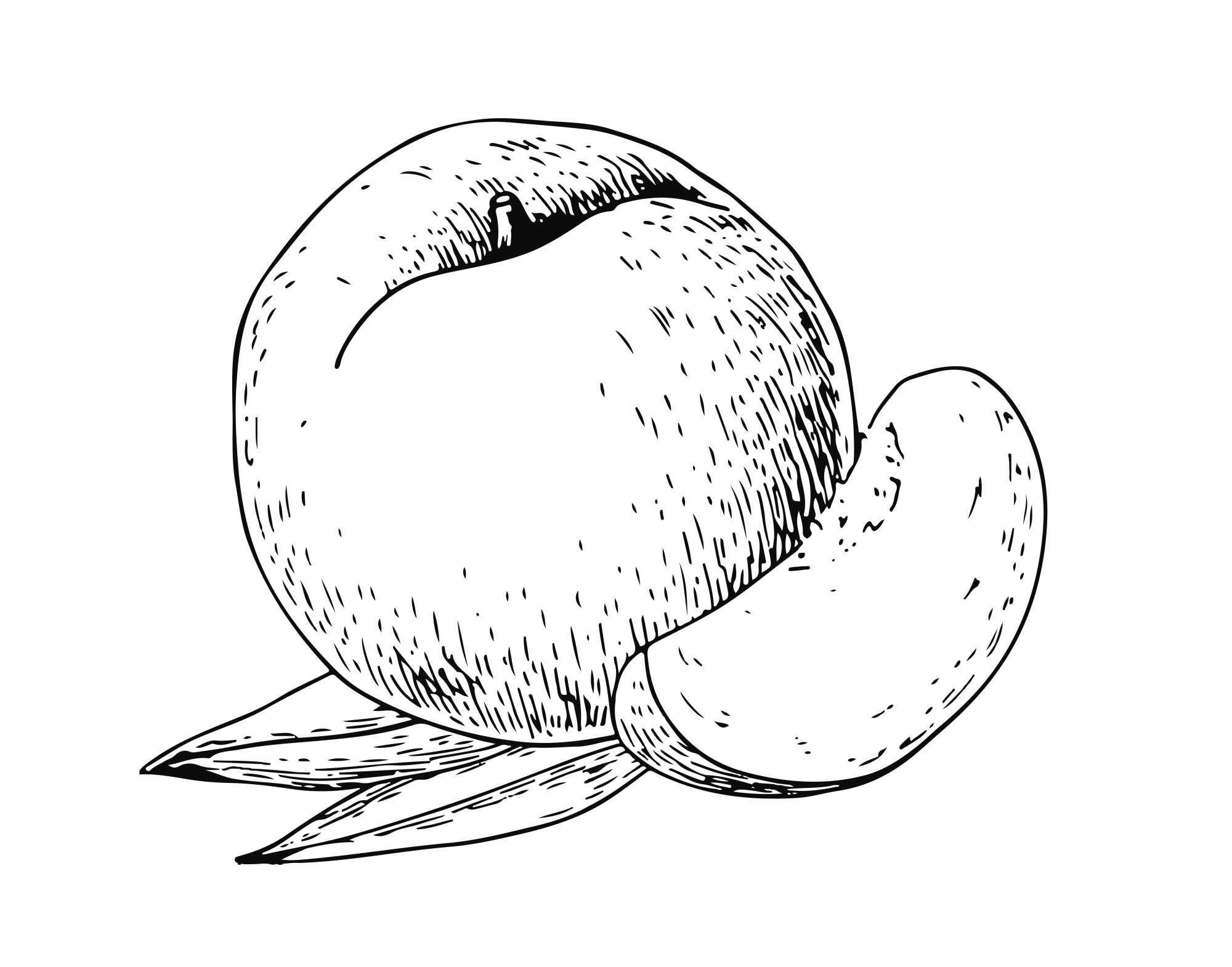Раскраска для детей: спелый персик с долькой
