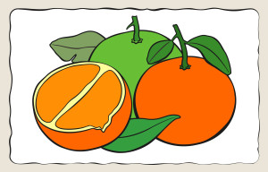 Раскрашенная картинка: два апельсина и половинка