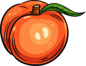 Раскрашенная картинка: пушистый персик