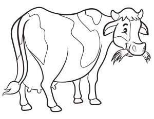 Раскраска большая корова жует травку