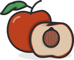 Раскрашенная картинка: сочный персик с половинкой
