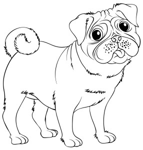 Раскраска собака бульдог