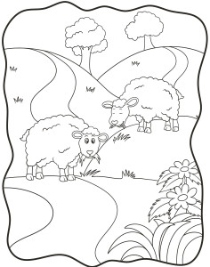Раскраска овцы жуют травку на поле