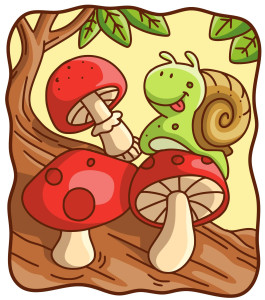 Раскрашенная картинка: гриб с улиткой