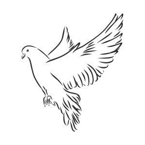 Раскраска голубь в полете с большими крыльями