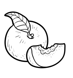 Раскраска персик с листиком и долькой