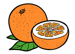 Раскрашенная картинка: сочный апельсин с половинкой