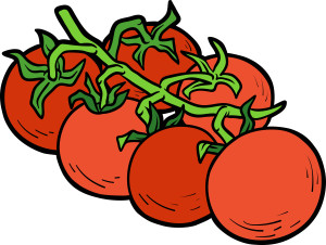 Раскрашенная картинка: томаты на ветке
