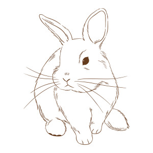 Раскраска милый пушистый кролик