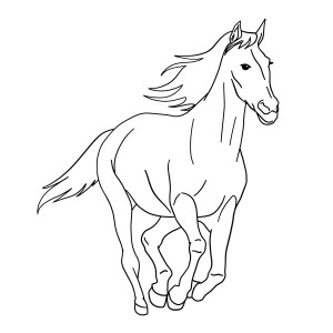 Раскраска лошадь с развивающейся гривой