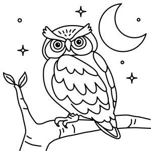 Раскраска сова на ветке на фоне луны