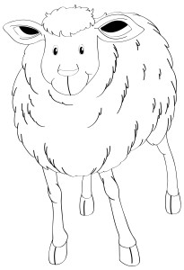 Раскраска овца «Пушистое чудо»