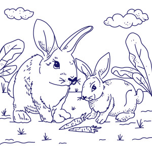 Раскраска зайцы на поляне