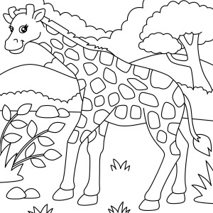 Раскраска жираф на лугу на фоне леса
