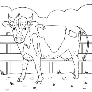 Раскраска взрослая корова стоит у забора в саду