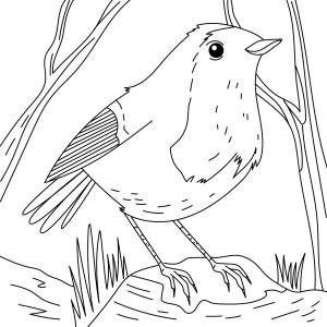 Раскраска птица зарянка в лесу