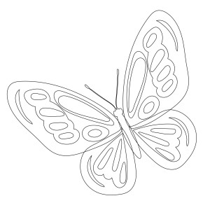 Раскраска бабочка большая с цветными крыльями