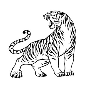 Раскраска злой тигр с когтями