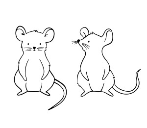Раскраска две мышки на задних лапах