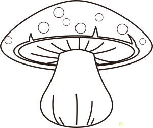 Раскраска красный гриб с красивой шляпкой