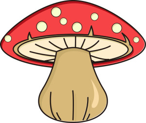 Раскрашенная картинка: красный гриб с красивой шляпкой
