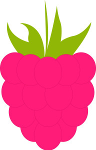 Раскрашенная картинка: ягода малина крупным планом