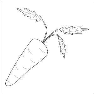 Раскраска полезная морковь источник бета-каротина