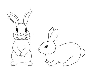 Раскраска милый кролик в разных позах