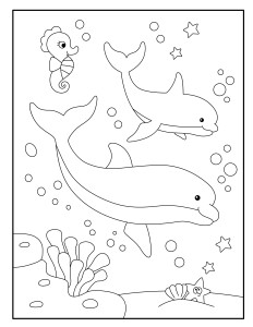 Раскраска два дельфина и морской конек под водой