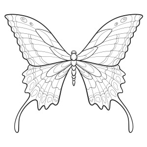 Раскраска бабочка с расправленными радужными крыльями