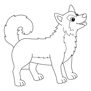 Раскраска собака сибирская хаски