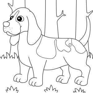 Раскраска собака с большими ушами породы бассет-хаунд