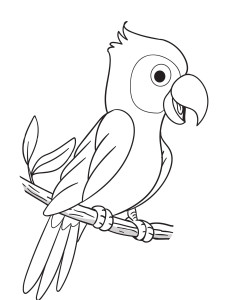 Раскраска попугай с открытым клювом