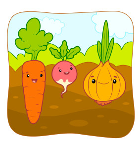 Раскрашенная картинка: морковь на грядке с луком и редиской