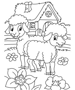Раскраска две овечки в саду у дома
