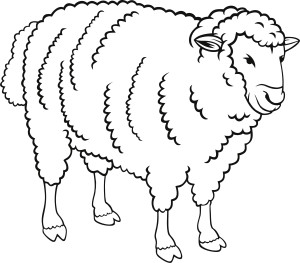 Раскраска пушистая овца