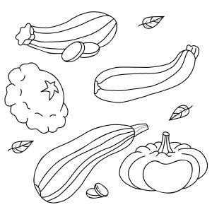 Раскраска набор овощей кабачки и патиссоны