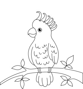Раскраска попугай на ветке с хохолком