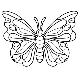 Раскраска бабочка с узорчатыми крыльями