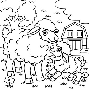 Раскраска овца и барашек на ферме