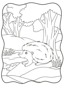 Раскраска ёжик из мультфильма на фоне леса