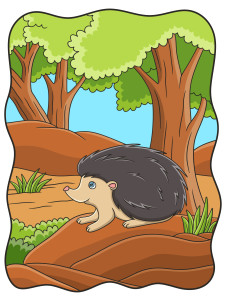 Раскрашенная картинка: ёжик из мультфильма на фоне леса