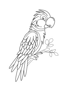Раскраска попугайчик на веточке