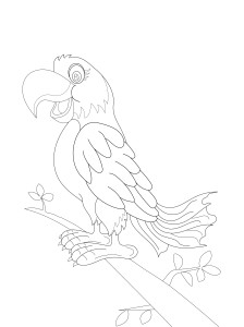 Раскраска попугай с яркими перьями на ветке