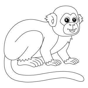 Раскраска маленькая обезьяна макака сидит