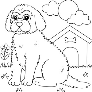 Раскраска собака голдендудль сидит рядом с будкой